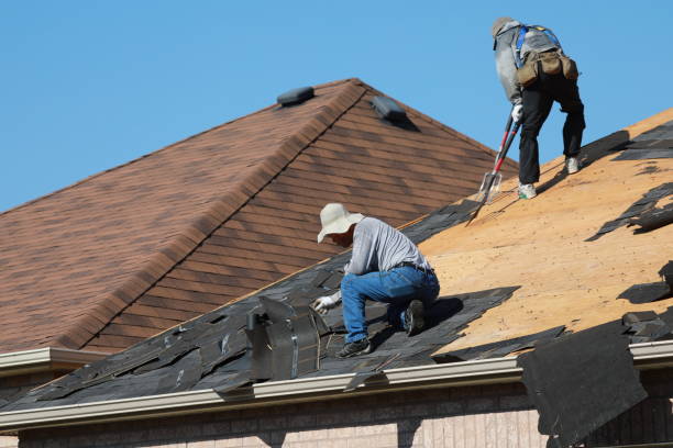 Best Roof Ventilation Installation  in Bridgeport, MI